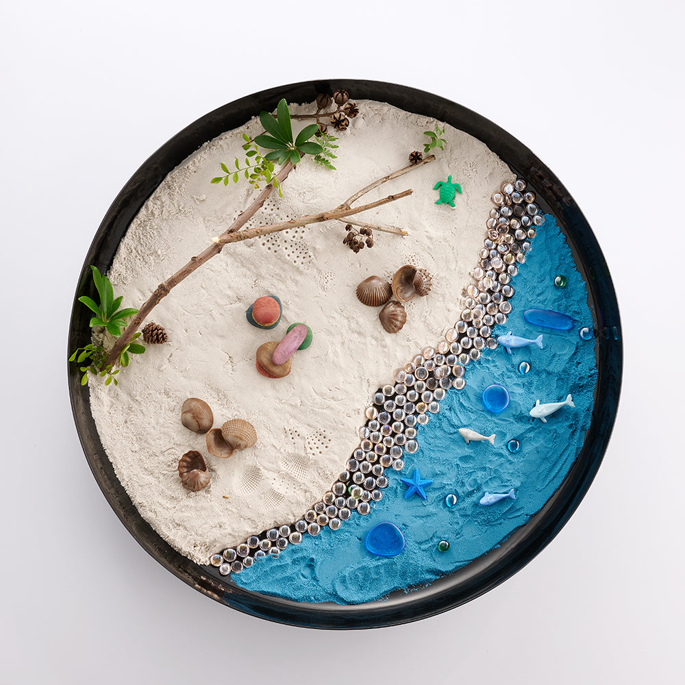 Edx Education – iSense Tray – Product Main Image