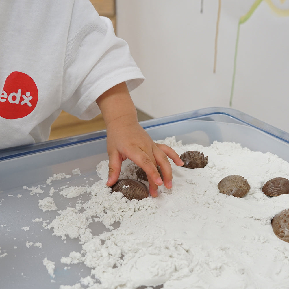 Edx Education – Green-n-Learn® Sensory Shells – Product Lifestyle Image