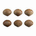 Edx Education – Green-n-Learn® Sensory Shells – Product Lifestyle Image
