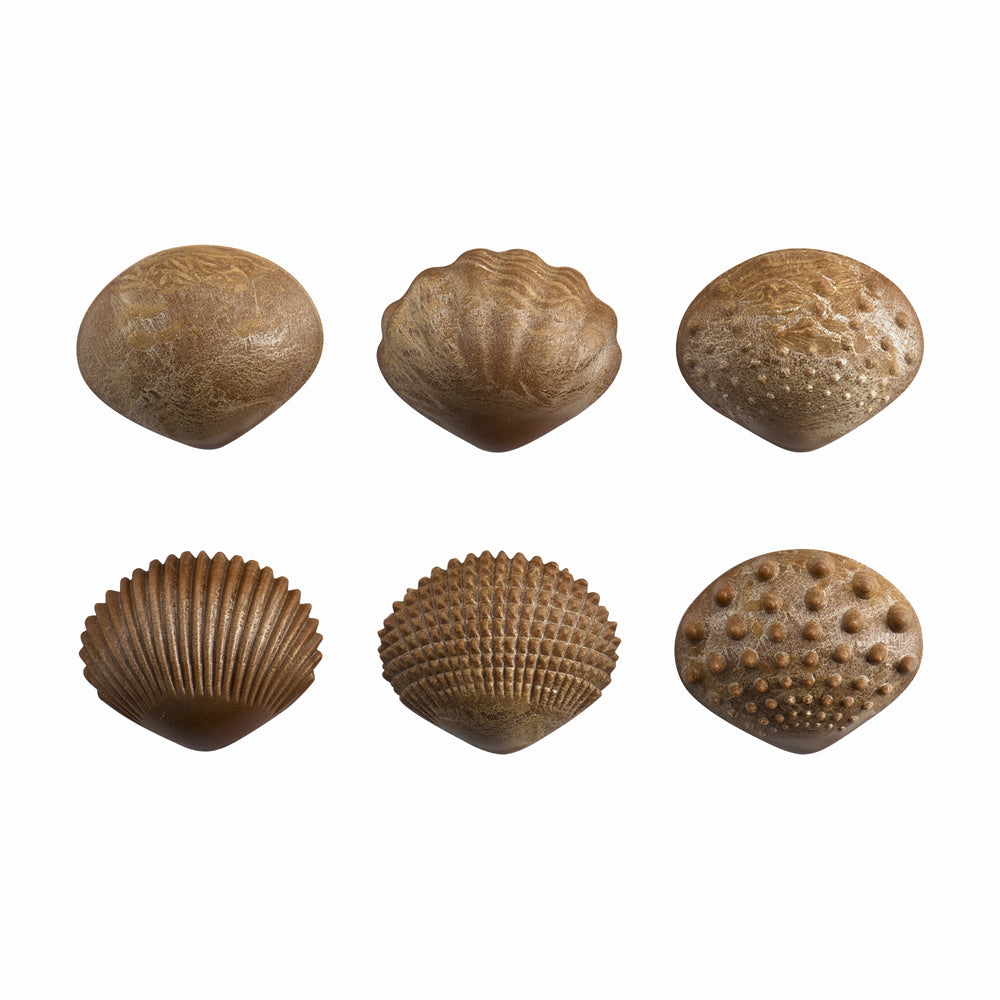 Edx Education – Green-n-Learn® Sensory Shells – Product Lifestyle Image