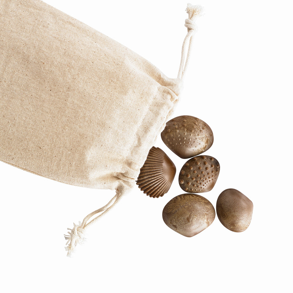 Green-n-Learn® Sensory Shells