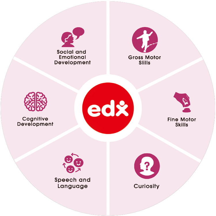 Edx Education Key-Developmental-Areas